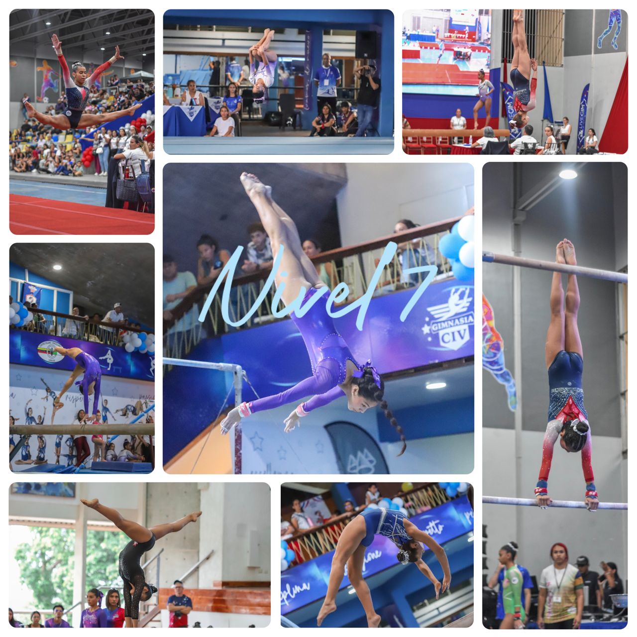 Usag Nivel 7